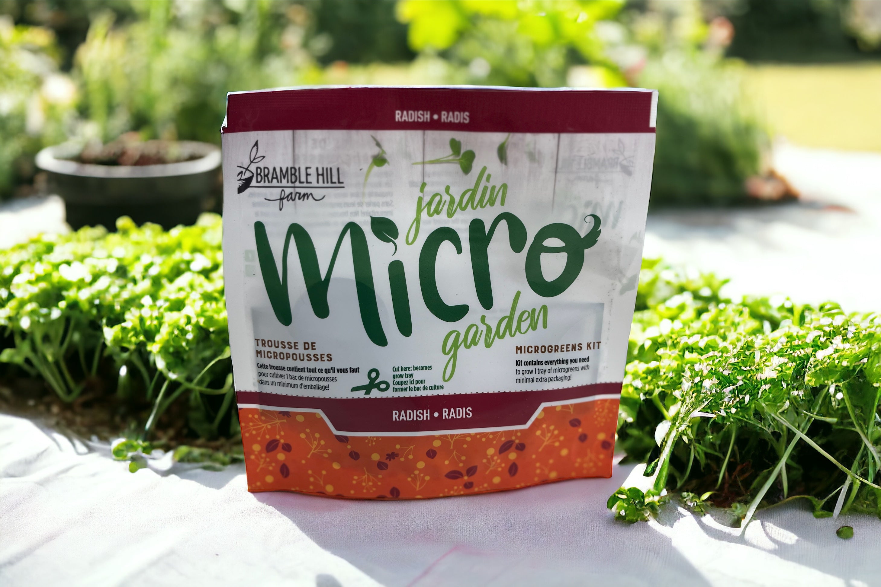 9+ Microgreen Advertising Microgreen Kits
